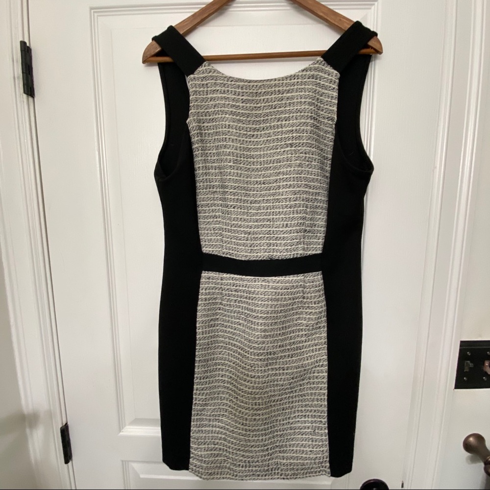 BCBG Business Dress Lower Back